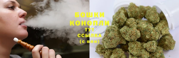 прущие грибы Сатка