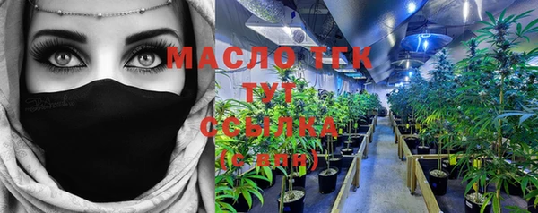 шишки Сясьстрой