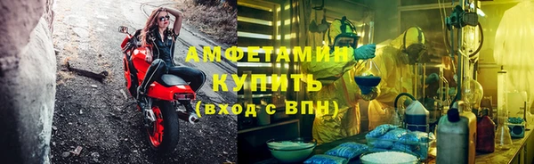 молекула духа Алексеевка